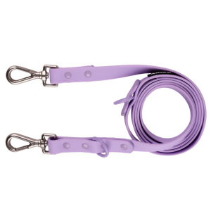 dog leash