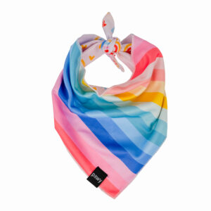 Pawy Dog Bandana - Sunset Rainbow