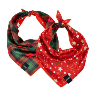 Pawy Dog Bandana - Merry Star