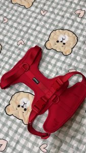 Yếm Dắt Cho Chó Pawy Flexiwear - Màu Đỏ photo review