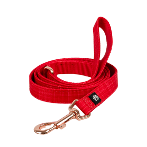 dog leash