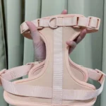 Yếm Dắt Cho Chó Pawy Flexiwear - Màu Gold photo review